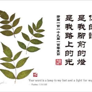 Jubille 水晶/钩花