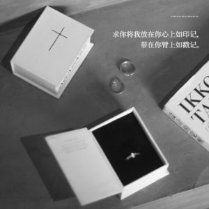唯一的爱慕｜首饰盒