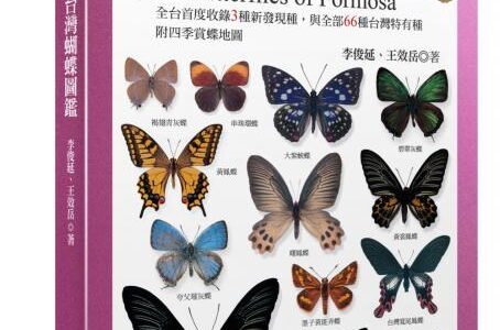 台湾蝴蝶图鉴 全新美耐版