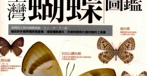 台灣蝴蝶圖鑑（灰蝶）- 晨星
