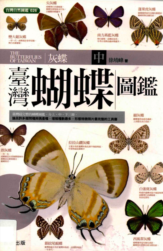 台灣蝴蝶圖鑑（灰蝶）- 晨星